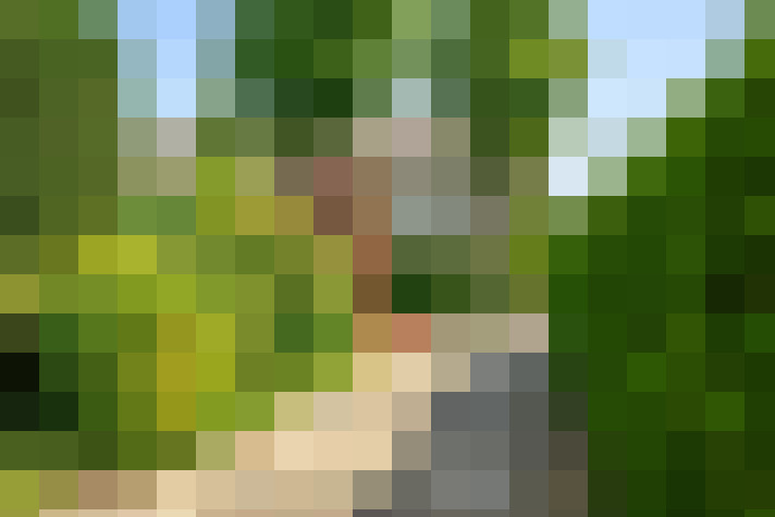 Image 27
