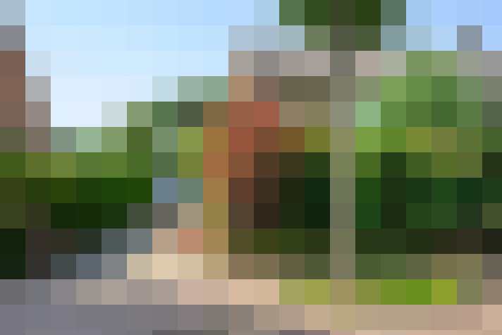 Image 28