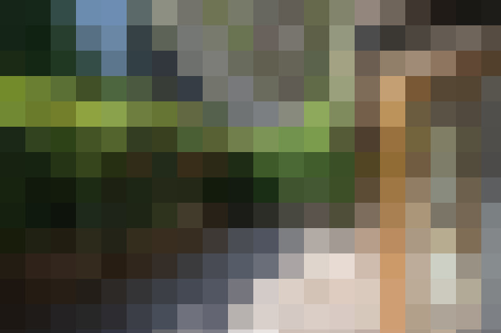Image 22
