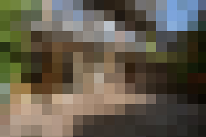 Image 20