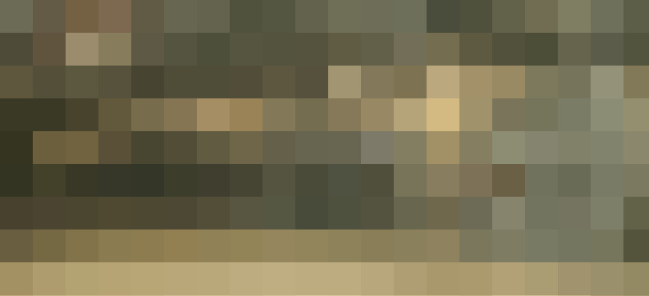 Image 17