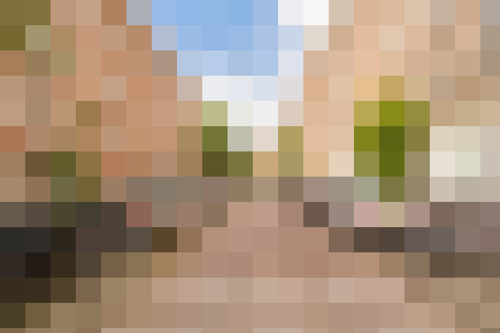 Image 43