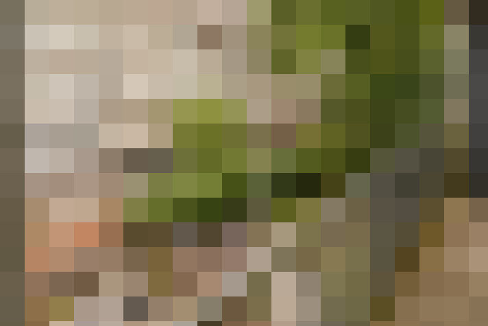 Image 16