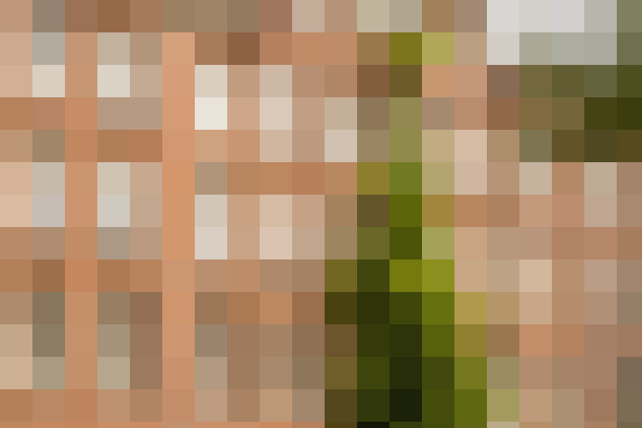 Image 41