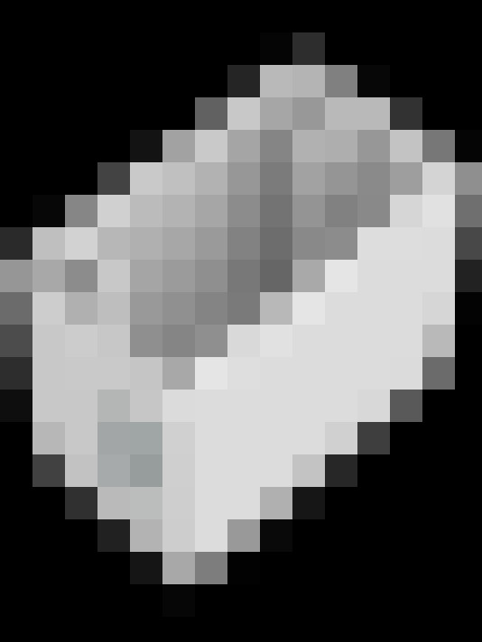 Image 28