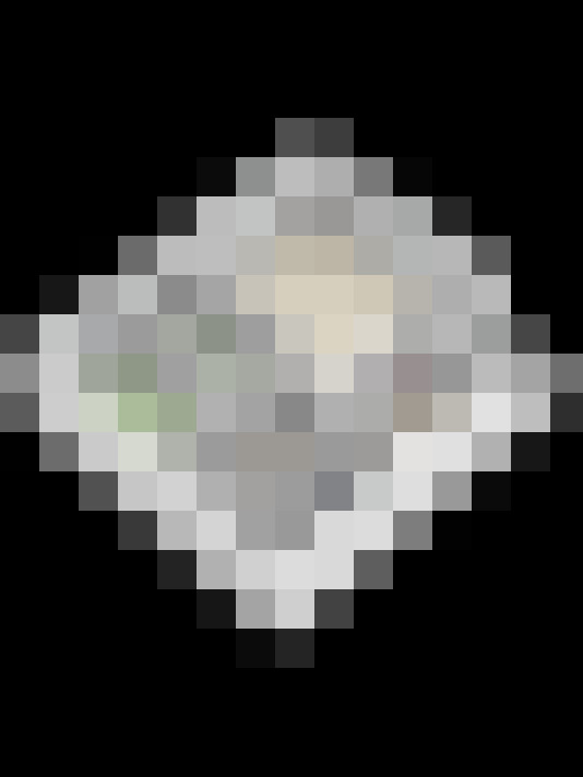 Image 29