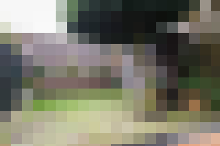 Image 33