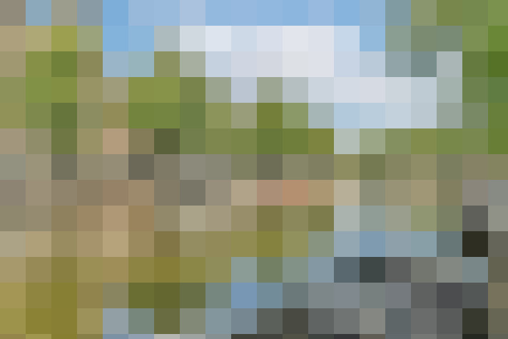 Image 37