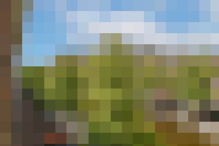 Image 20