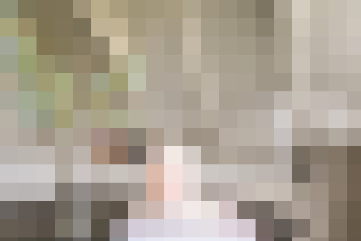 Image 13