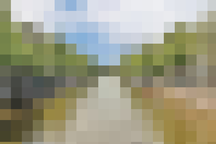 Image 38