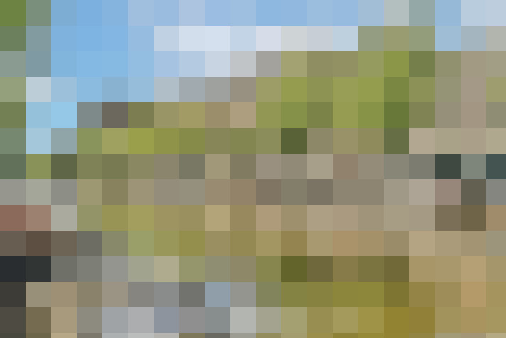 Image 36