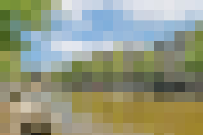 Image 35