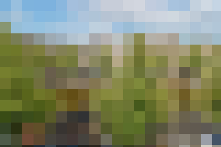 Image 34