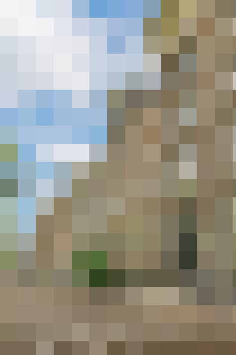 Image 32