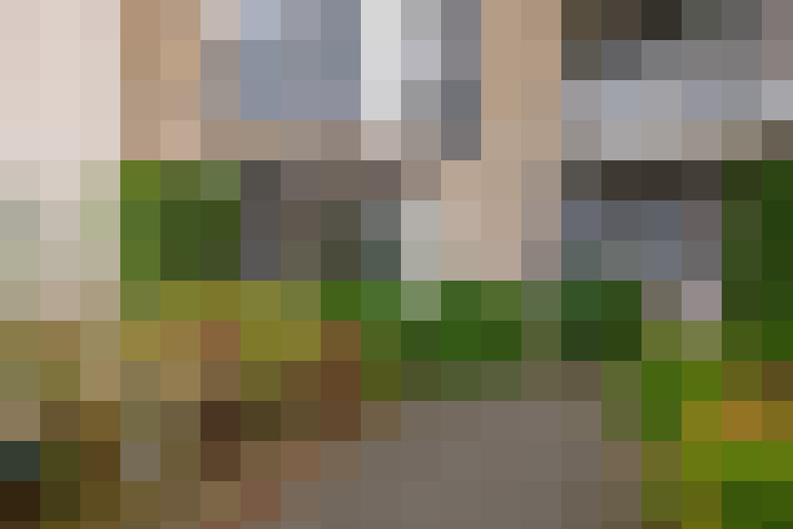 Image 20