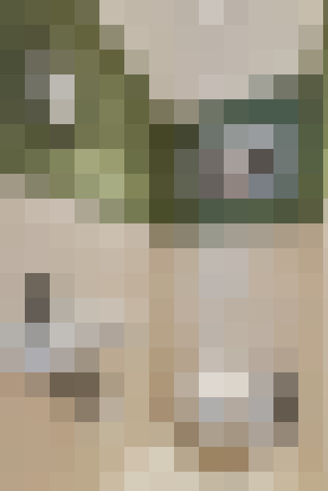 Image 23