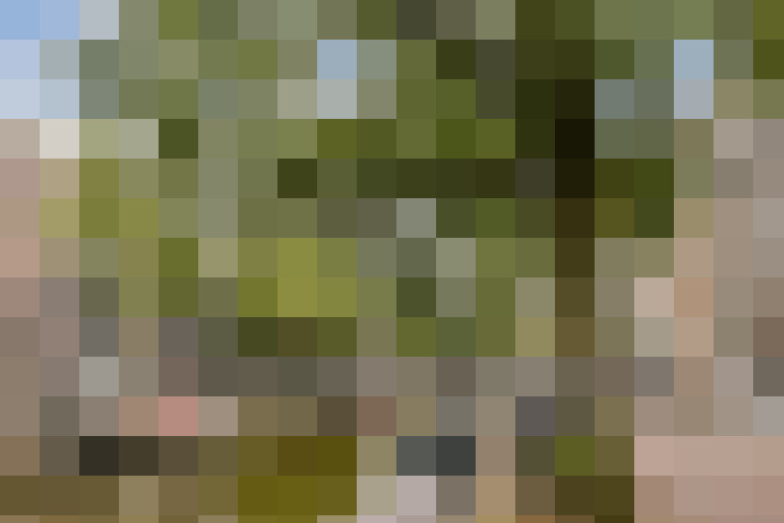Image 27