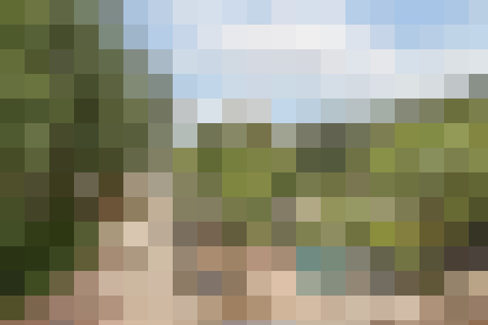 Image 26