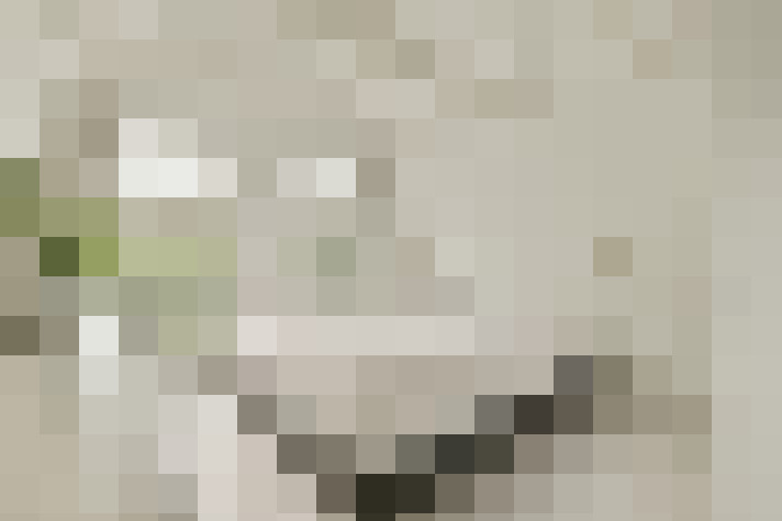 Image 16