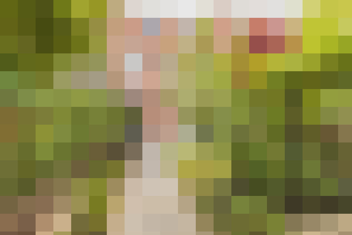 Image 34