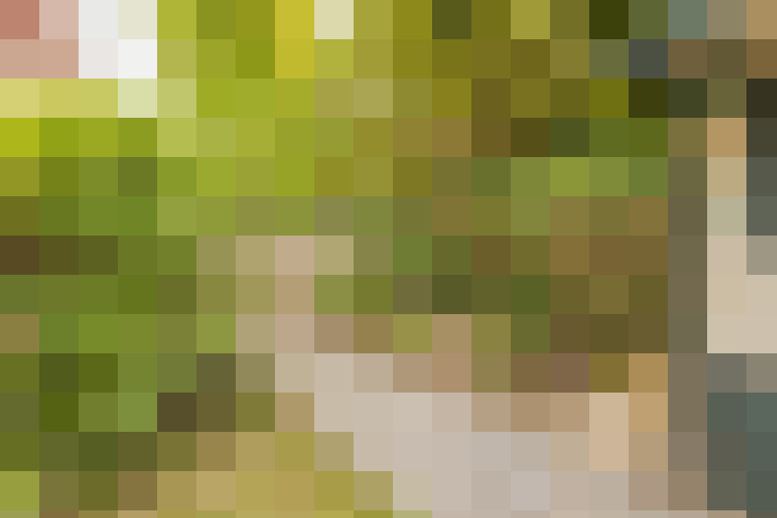 Image 31