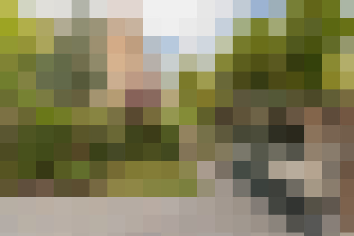 Image 32