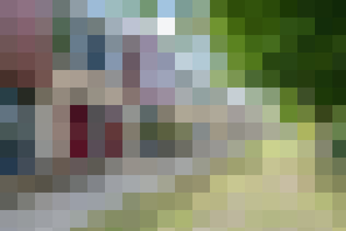 Image 31