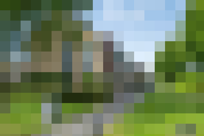 Image 32