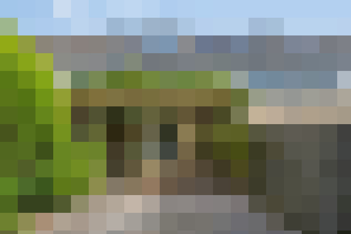 Image 15