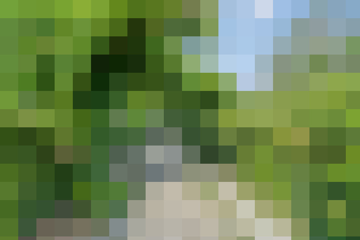 Image 34