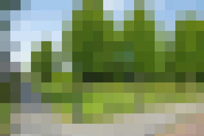 Image 37