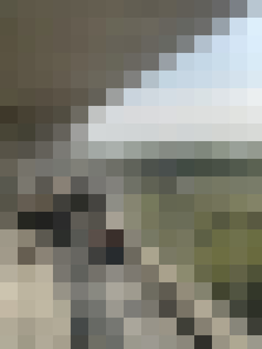 Image 22