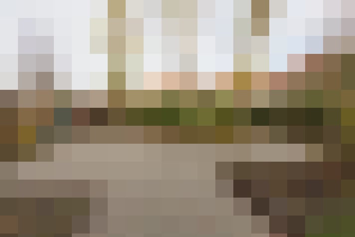 Image 39
