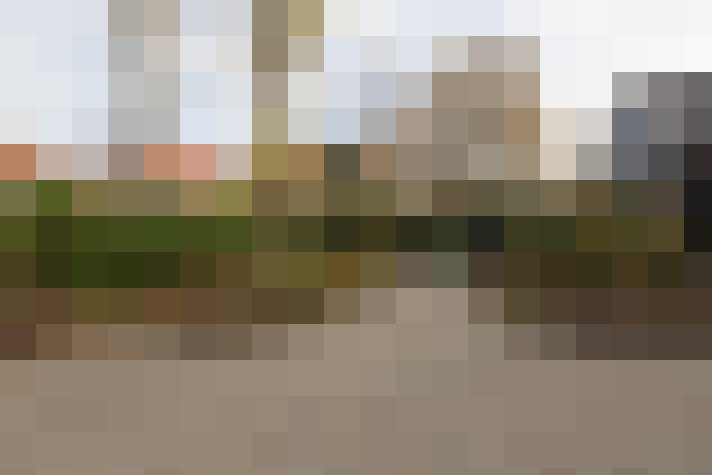 Image 41
