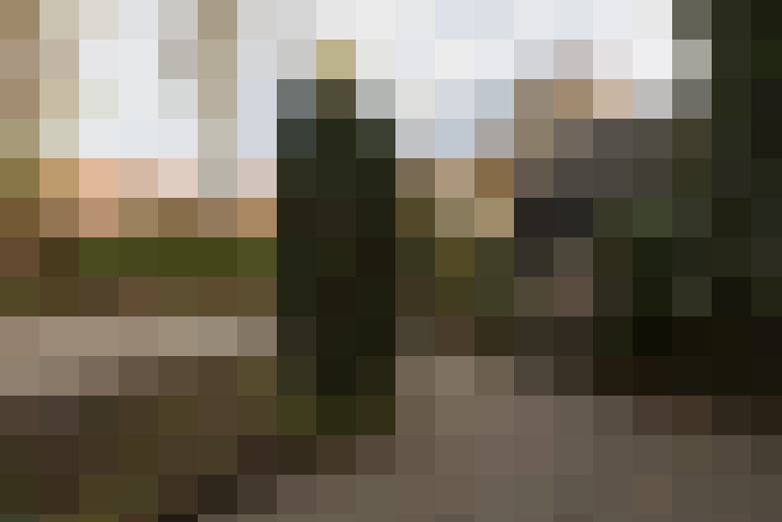 Image 40