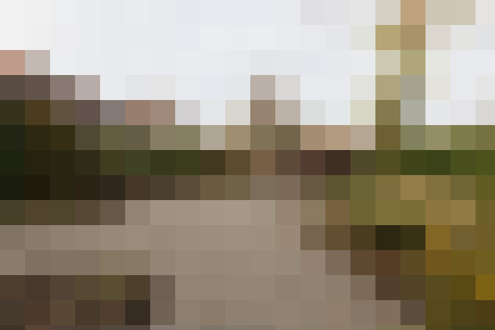 Image 38