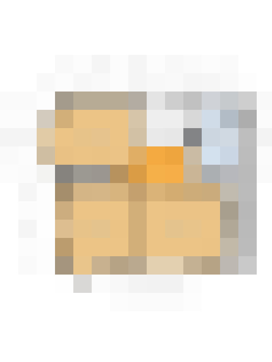 Image 47