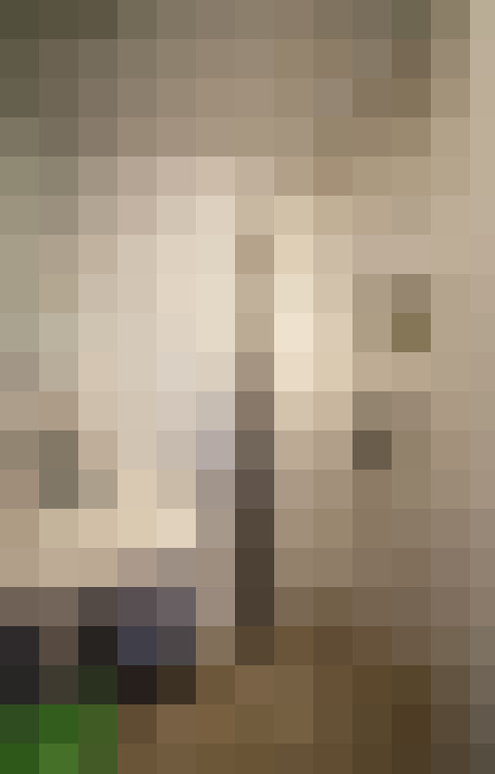Image 30