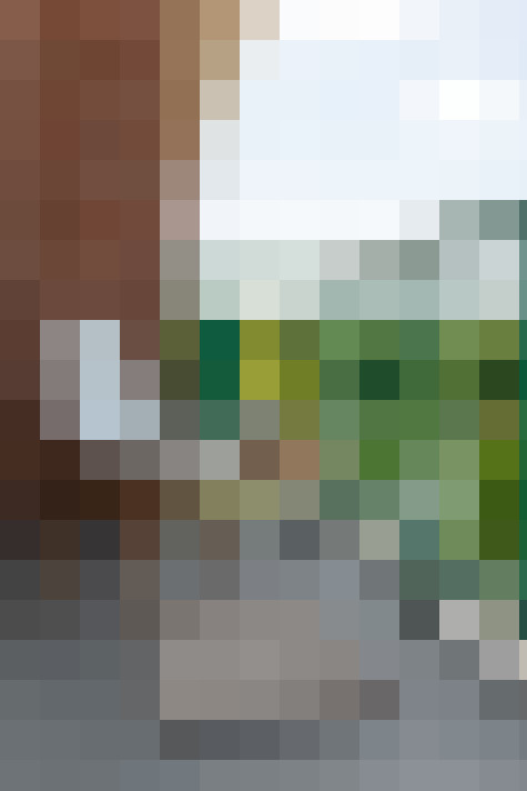 Image 23