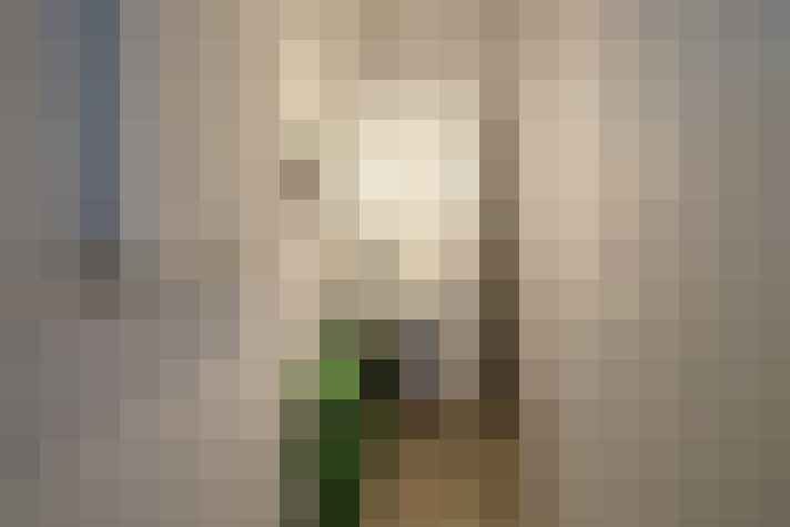 Image 29