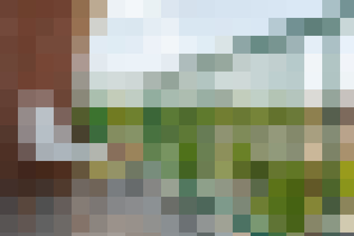 Image 24