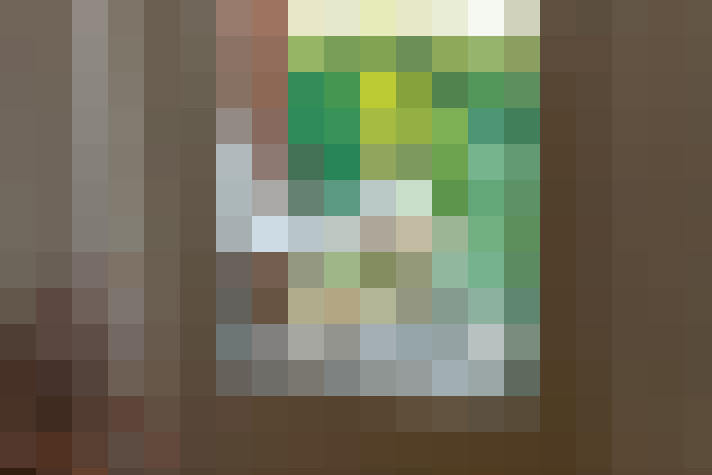 Image 22