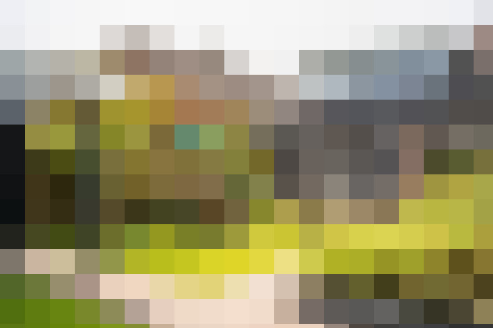 Image 35