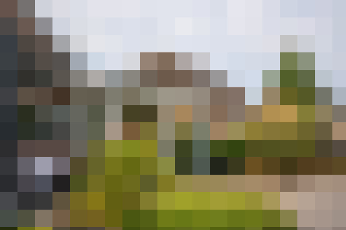 Image 38