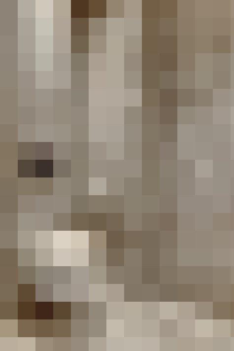 Image 30