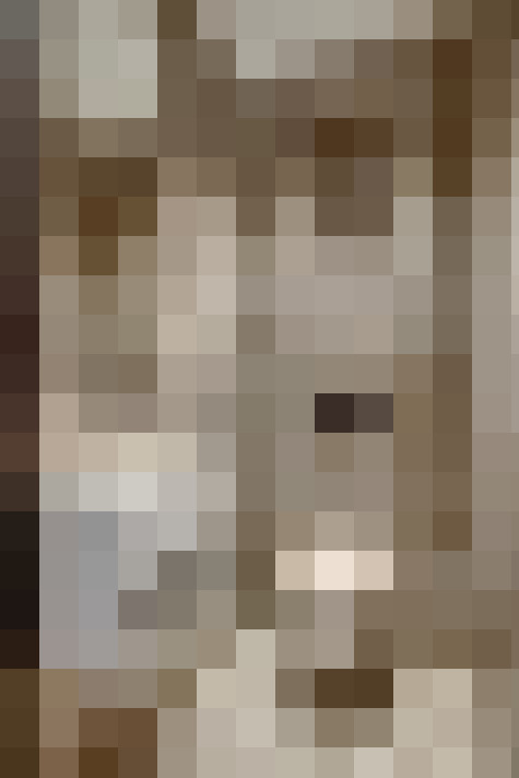 Image 31