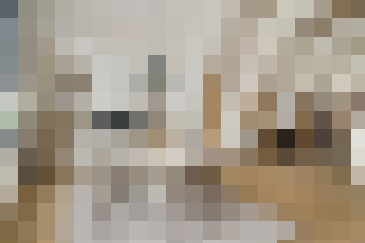 Image 13