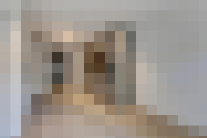 Image 20