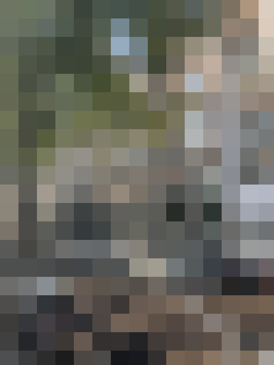 Image 14